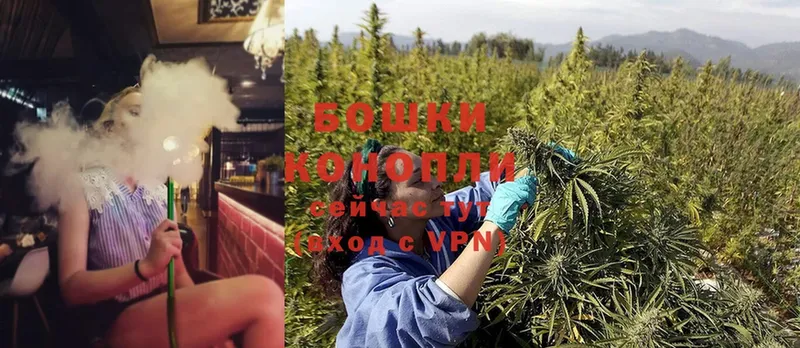 как найти закладки  Верхний Тагил  Бошки марихуана Ganja 